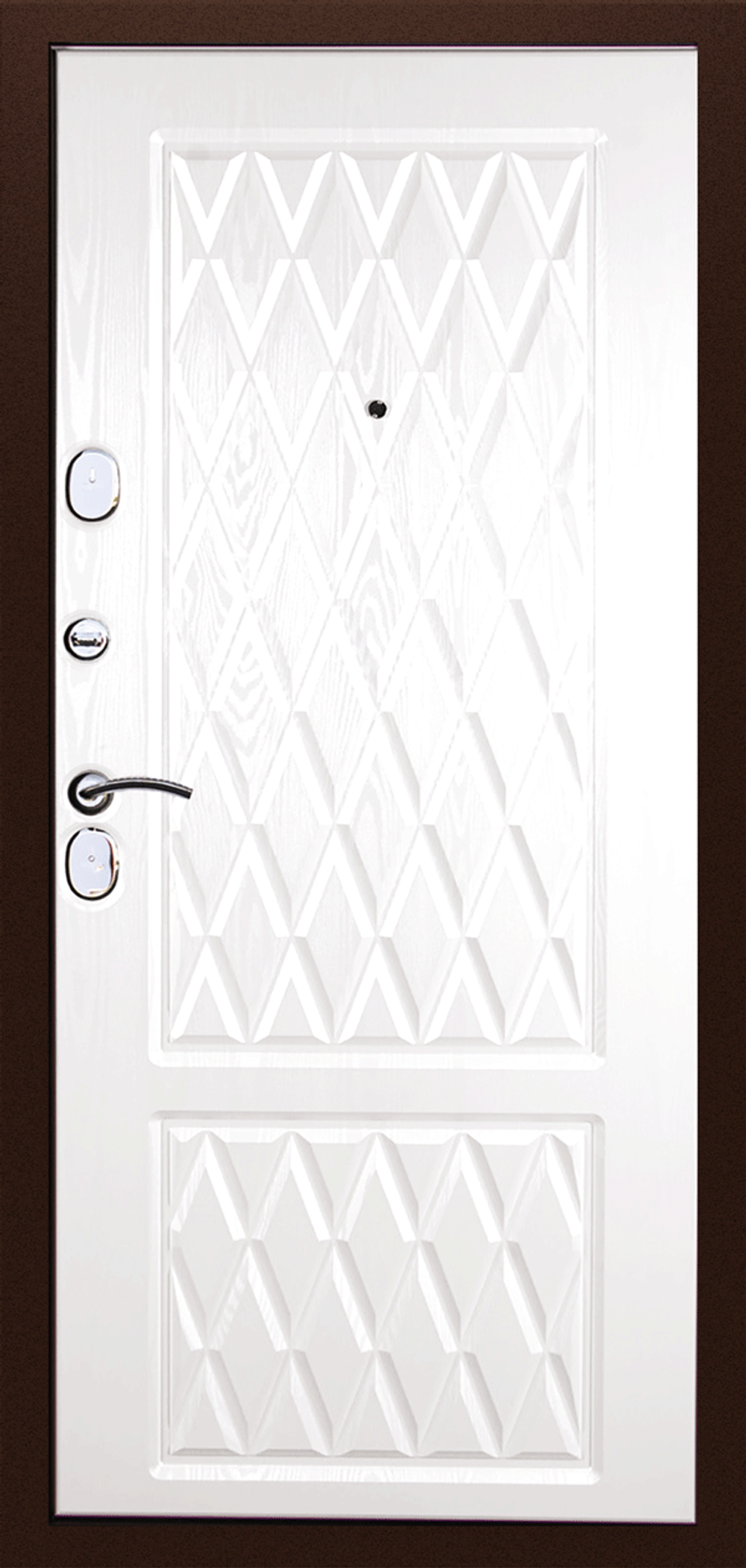 Дверь входная Лидер