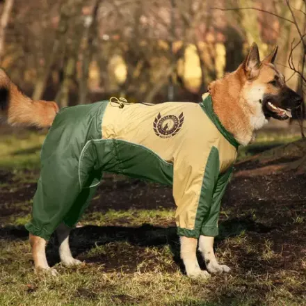 Комбинезон дождевик для собак демисезонный White Wolf вырез на мальчика бежево-зеленый
