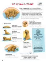 Моя самая красивая книга о кошках и собаках