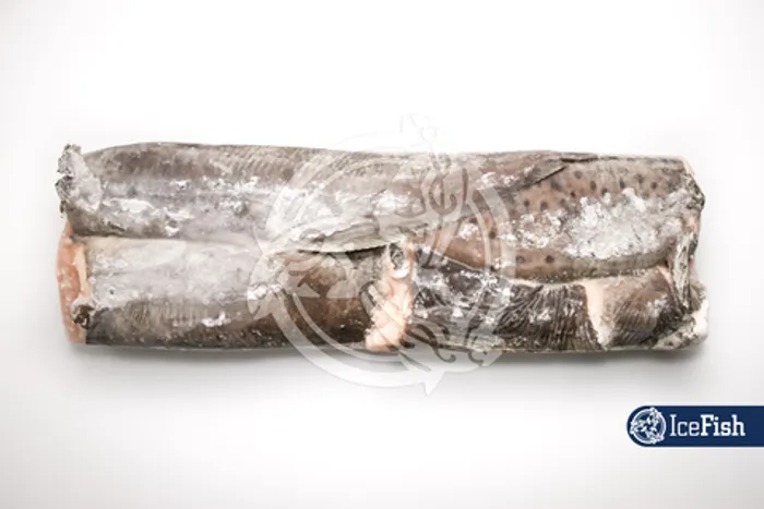 Зубатка пестрая б/г 3+ Мурманск вес.