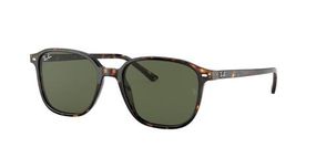 Очки Ray Ban Leonard RB2193 902/31
