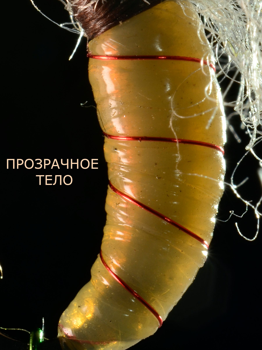 Скользкий тип Желтый Мандарин