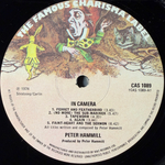 Peter Hammill ‎– In Camera (Англия 1974г.)