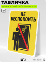 Табличка для частной территории "Не беспокоить", на дом, для участка, организаций и частных территорий, предупреждающая, 40х30 см, Silver Plane x Айдентика Технолоджи