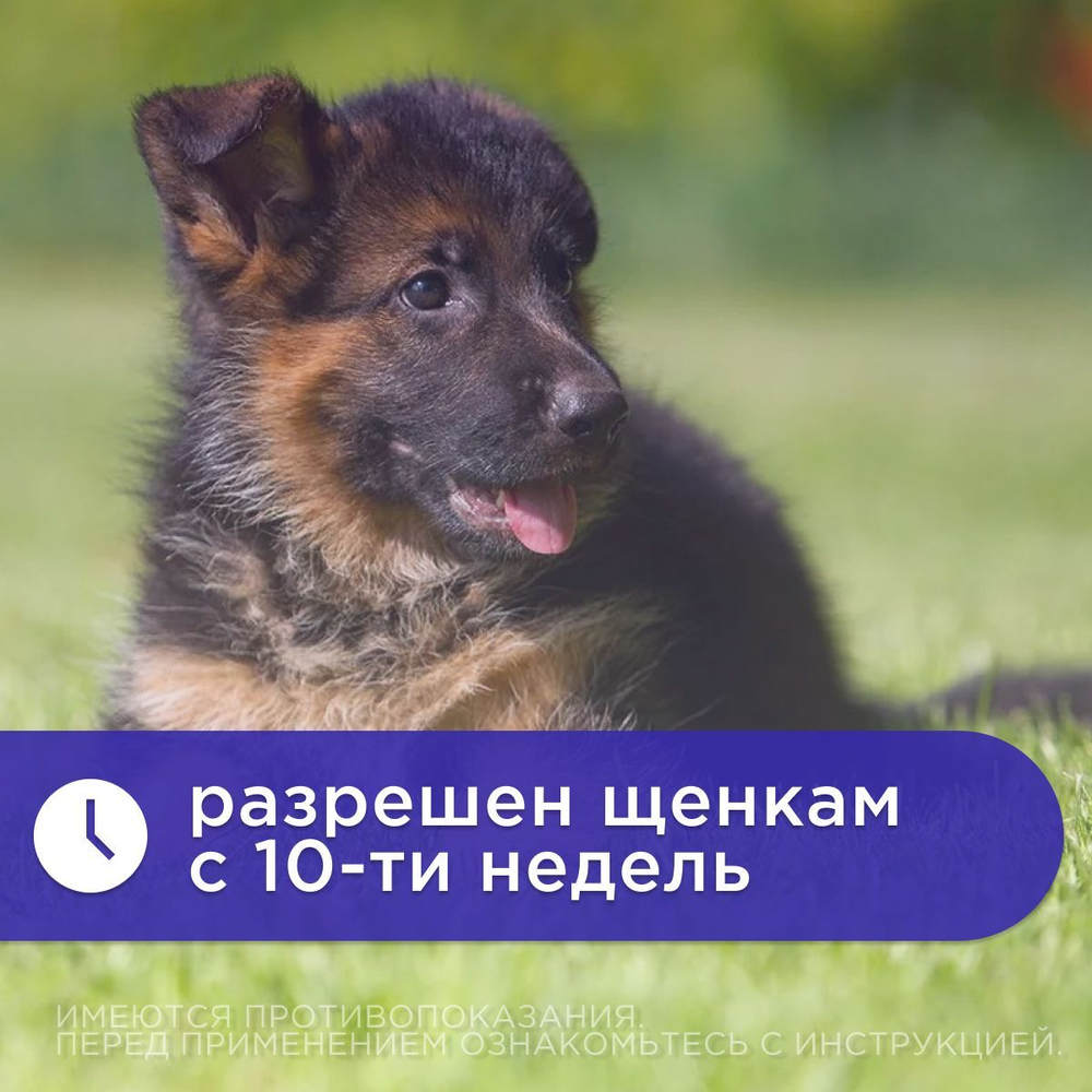 Средство от блох и клещей для кошек и собак любых пород Спрей АВЗ "БАРС" 200мл