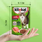 Говядина в желе, 85г влажный корм для кошек KiteKat