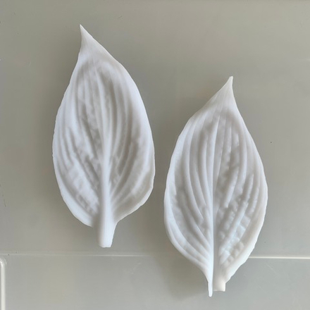 Вайнер лист Хосты ClayCraft by DECO™