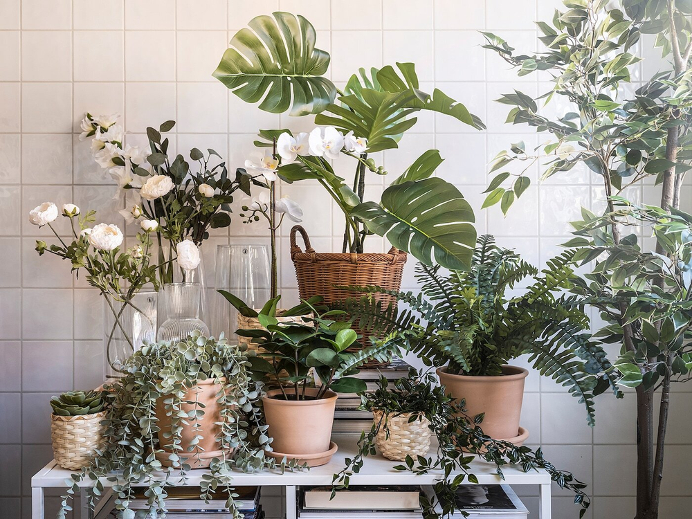 FEJKA Искусственное горшечное растение, комнатное/открытое Monstera, 19 см