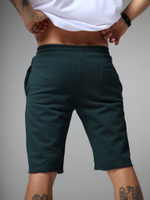 Шорты трикотажные темно-зеленый зеленые Город Горький