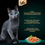 Ломтики Курица и Индейка корм влажный для кошек Sheba 75г