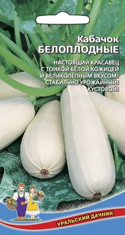 кабачок Белоплодные