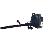 Бензиновая ранцевая воздуходувка EVOline BLG 80 BP