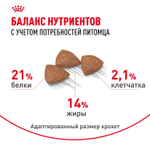 Royal Canin Mini Indoor Adult Корм сухой для взрослых собак мелких размеров живущих в помещении 0,5 кг