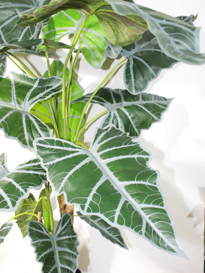 Искусственное растение Алоказия 150см в кашпо