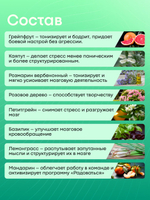 Масло-роллер для тела «BRAIN POWER» 10мл