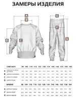 Спортивный костюм для мальчика, свитшот и брюки