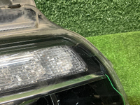 Фара правая Газель NN (2019-н.в.) LED