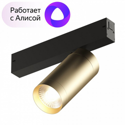 Трековый светильник Denkirs DK8020-BG