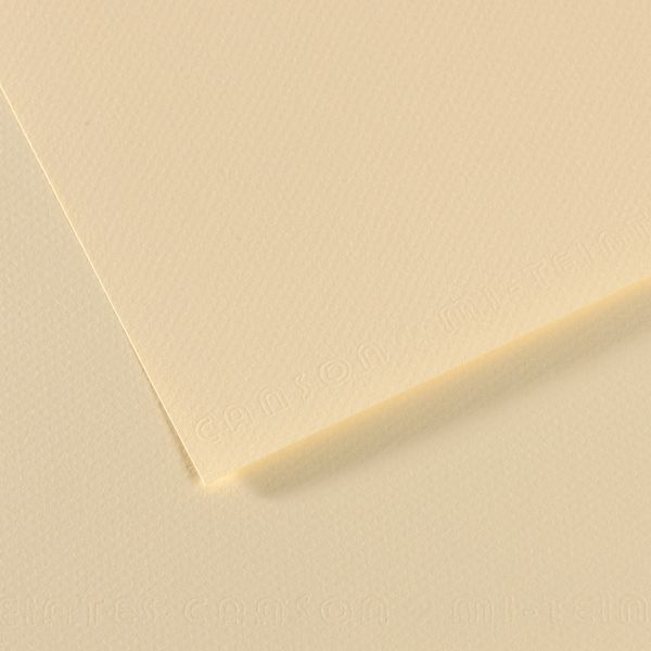 Бумага для пастели Mi-Teintes 160 г/м², 50х65 см, 10 л, №101 Бледно-желтый, Canson, C31032S087