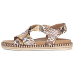 Gabor One Strap Sandals 3.5cm Women"s Beige Umber