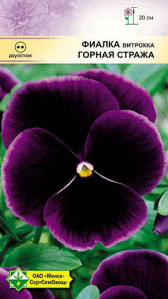 Фиалка витрокка "Горная стража" 0.1г, Германия. Фиалка витрокка "Горная стража" 0.1г, Германия.