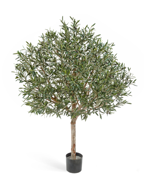 Олива натур. топиари с плодами 170 см (сборная) 2/2 10.27606N