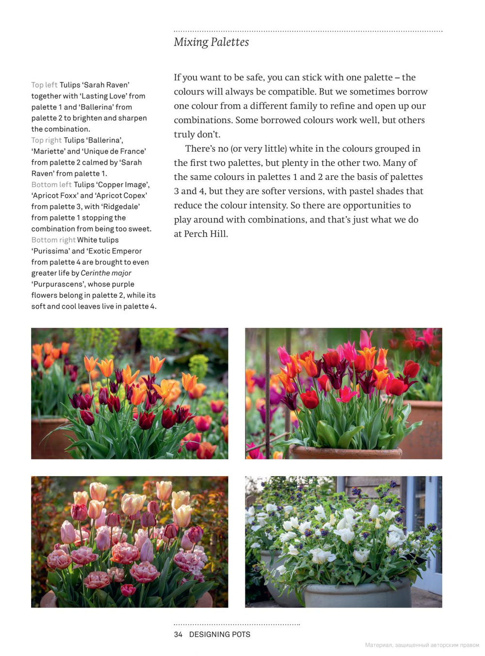A Year Full of Pots: Container Flowers for All Seasons