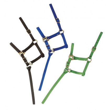 EKKIA Недоуздок для жеребят (мини-пони) с поводком