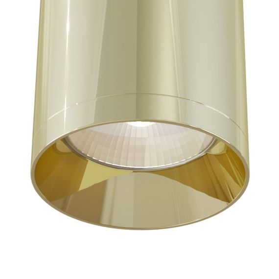 Потолочный светильник Maytoni Technical Focus C010CL-01G