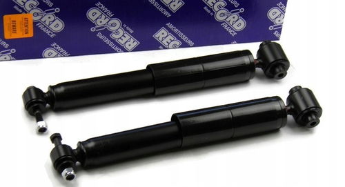 Амортизатор задний Megane2 (Record) масл.+++