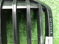 Решетка радиатора BMW X7 G07 (2022-н.в.)