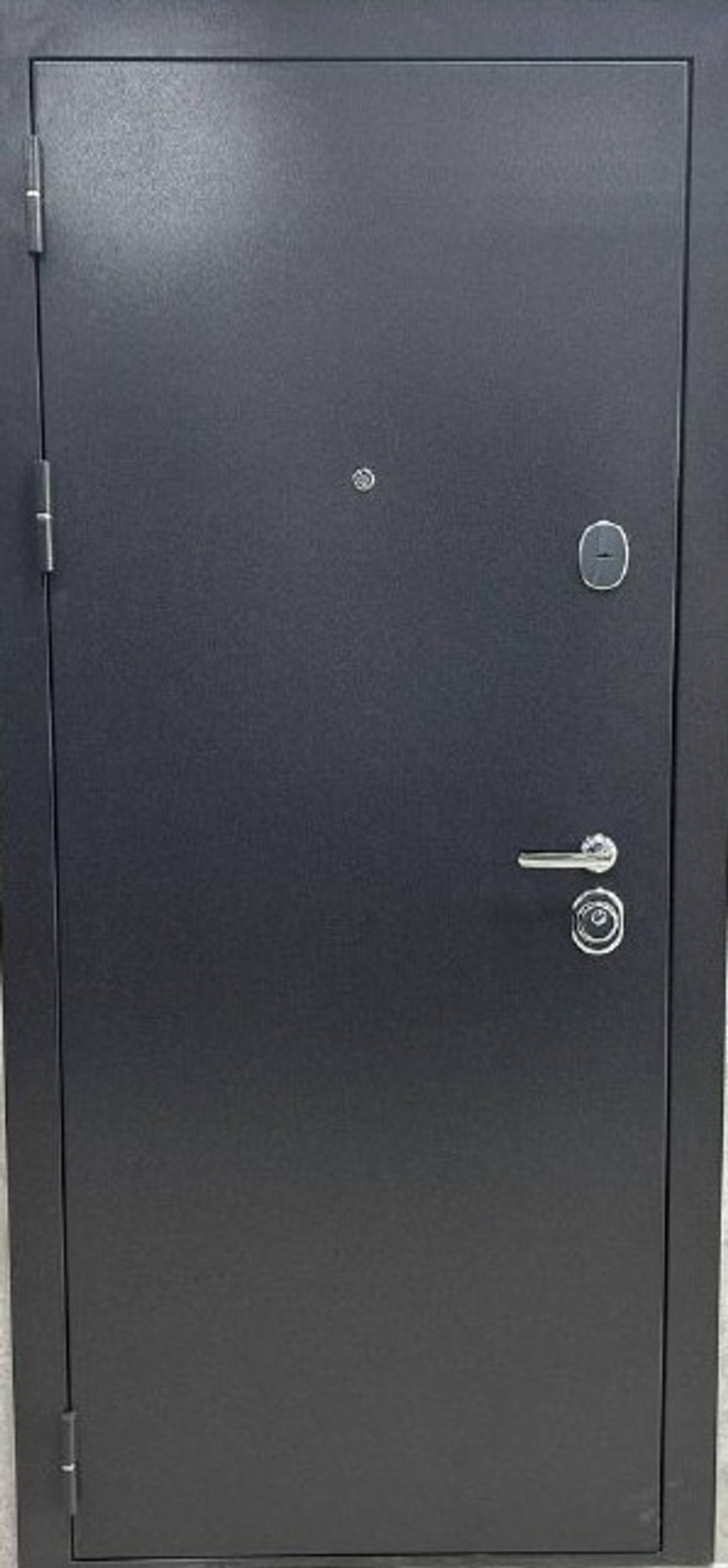 Дверь входная Вектор