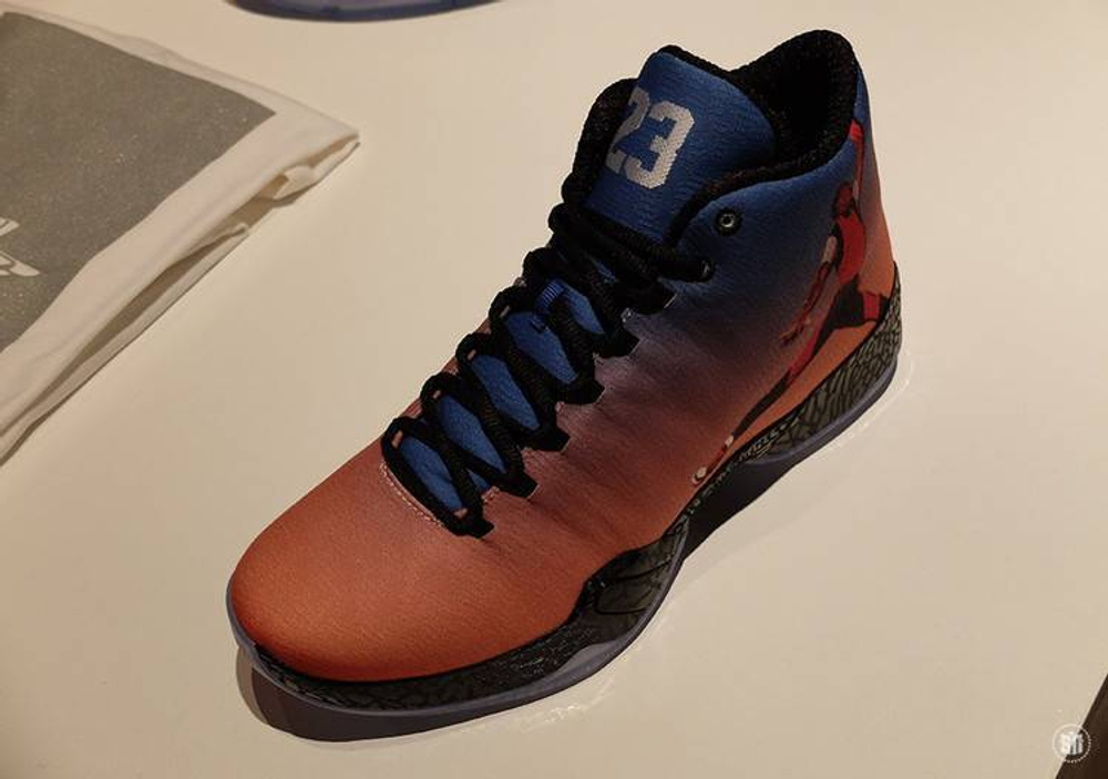 Кроссовки Jordan Air Jordan 29 Photo Reel