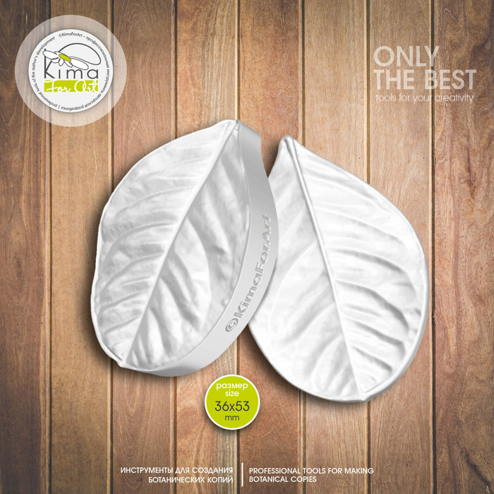 Цитрус лист