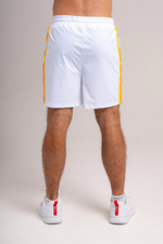 Мужские шорты ABOUT TECH SHORTS HERITAGE (ATST01)