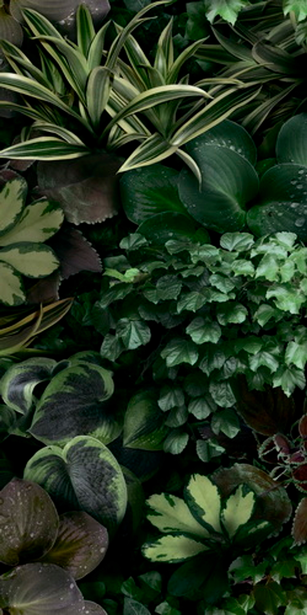 Декоративные элементы 41zero42 PAPER41 PRO JANE C 50х110