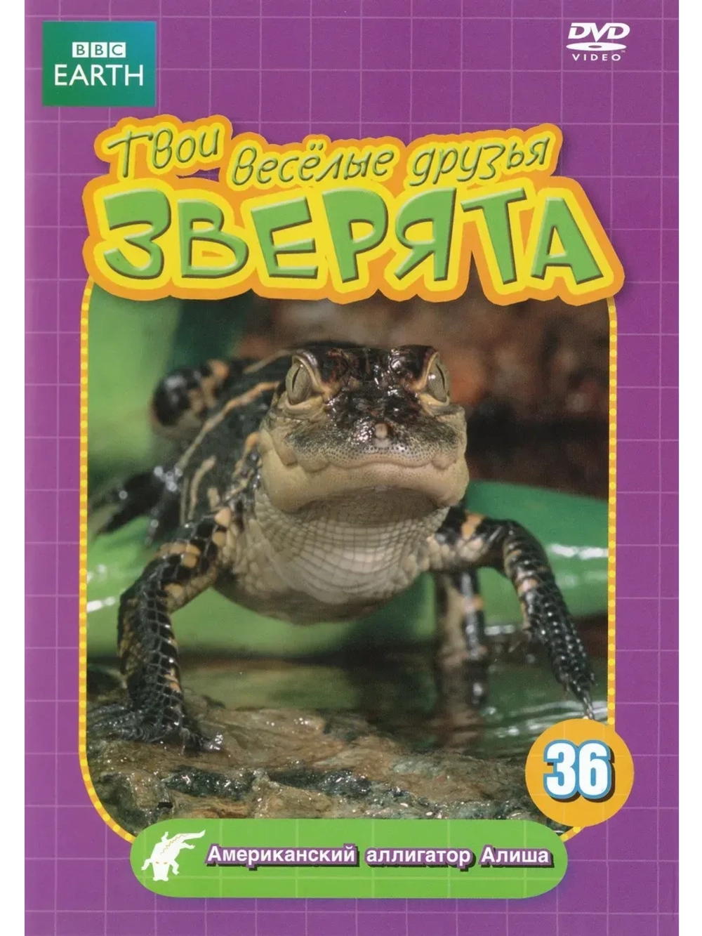 BBC: Американский аллигатор Алиша (КИНО USB)
