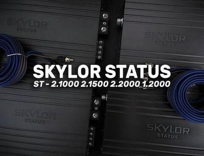 Мощные двух-канальники и моноблоки от Skylor уже в наличии