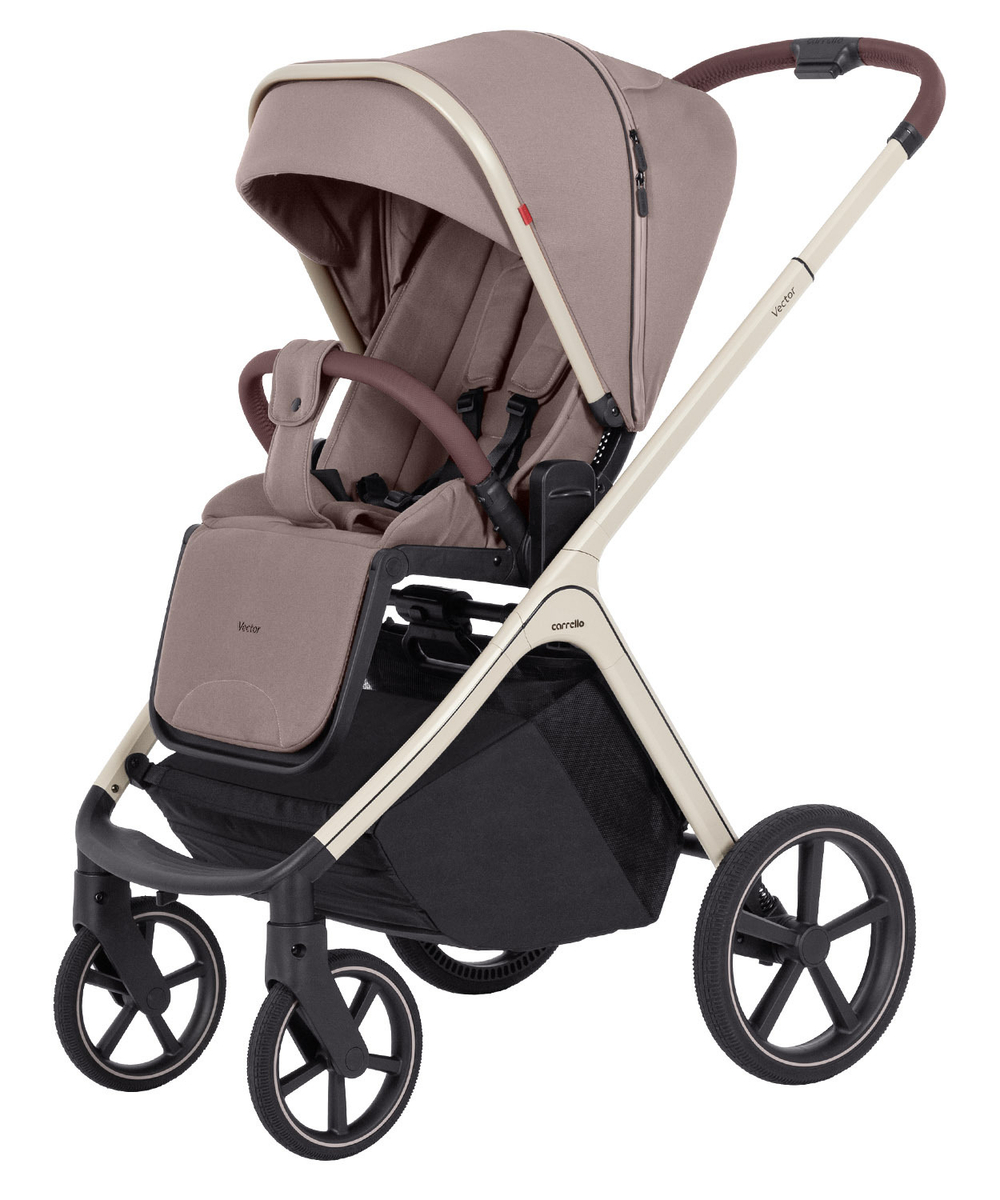 Коляска 2 в 1 Carrello Vector CRL-6550