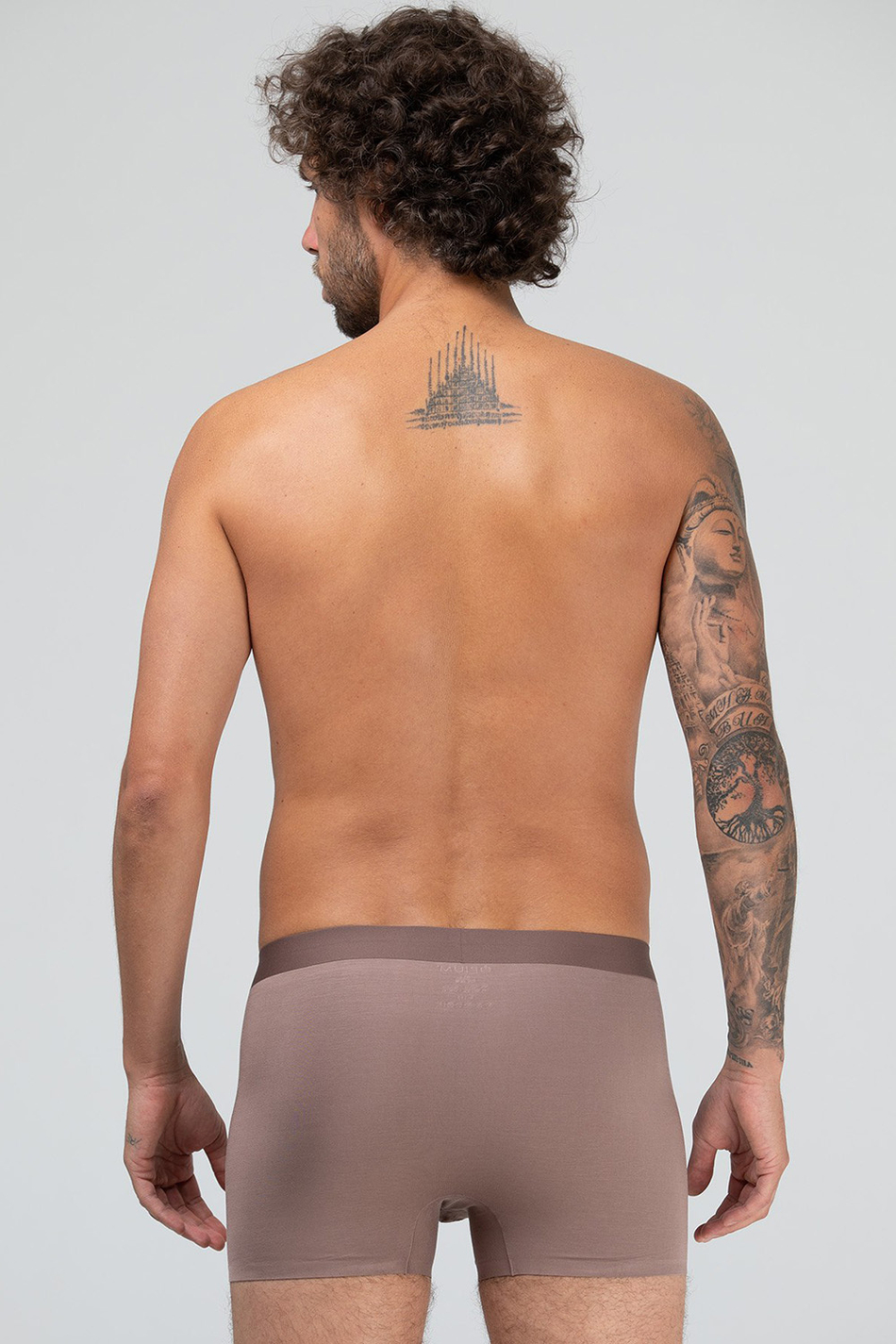 Мужские трусы R-163 Brown