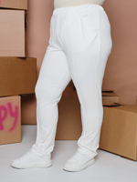 Брюки Б483-18 54-68 1590 руб (1)