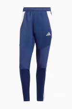 Штаны adidas Tiro 24 Winterized - темно-синий
