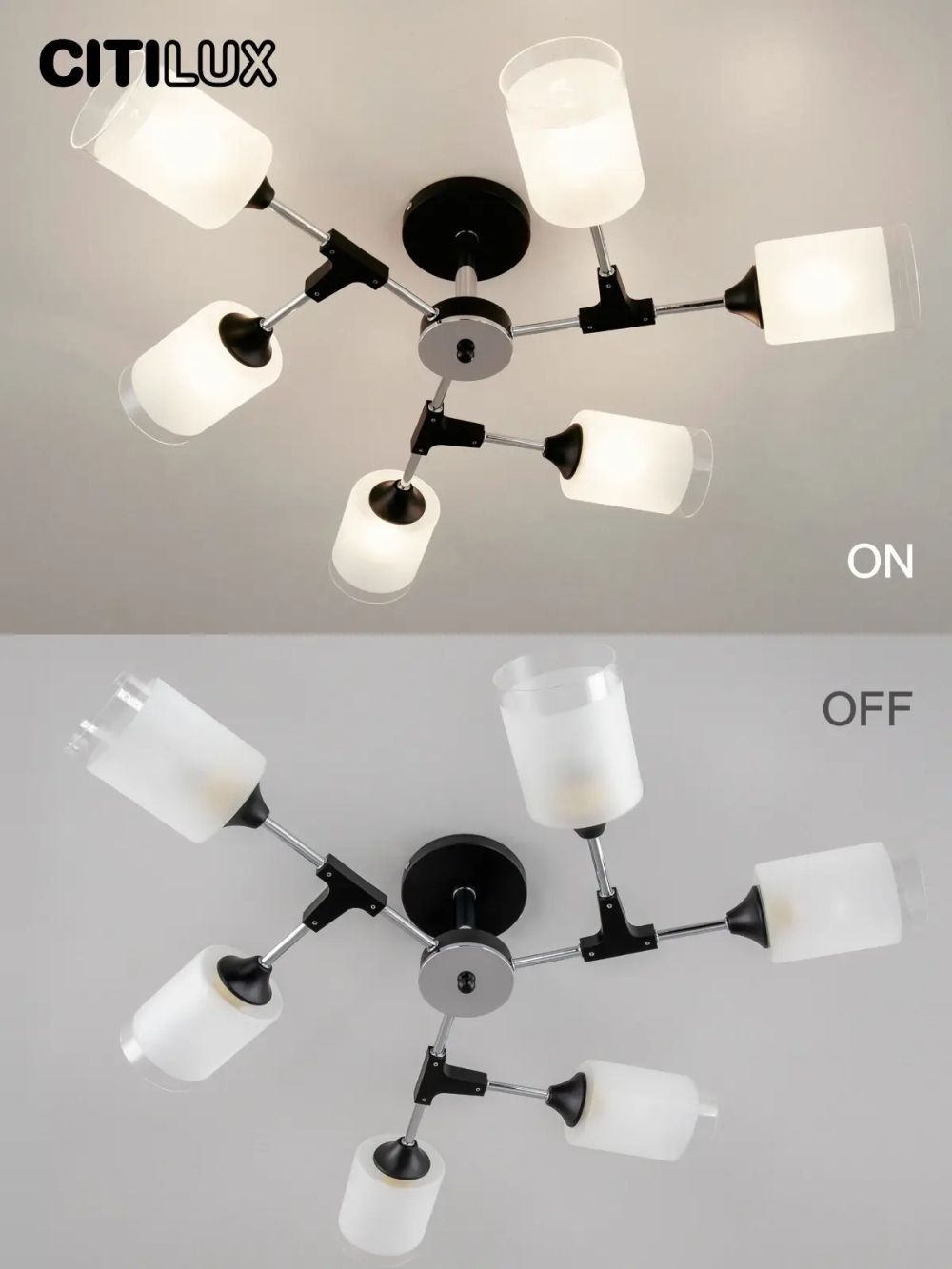 Citilux Эрик CL136165 Люстра потолочная Чёрная