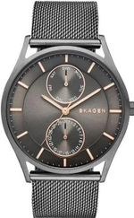 Мужские наручные часы Skagen SKW6180