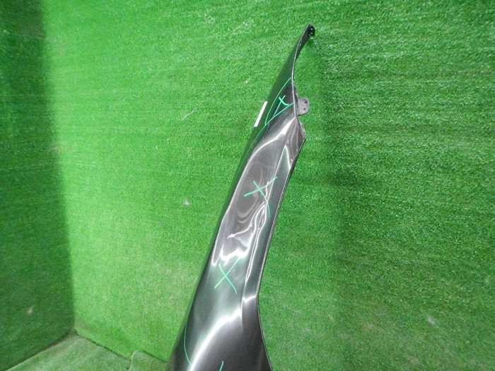 DSCN9925.JPG