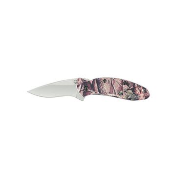 Нож KERSHAW 1620C Scallion