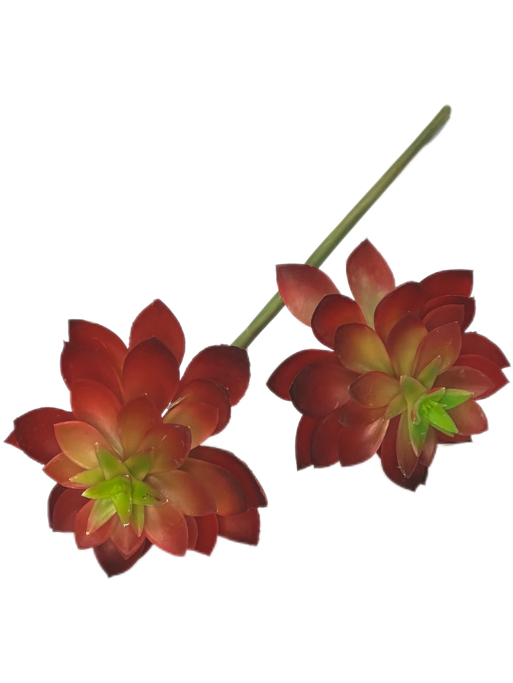 Суккулент ветка красный 60 см