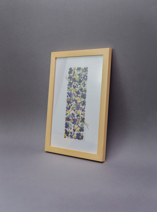 Виола, гортензия, роза. Картина из цветов в рамке