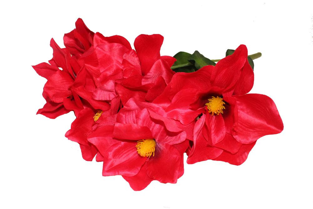 Букет магнолии раскрытой