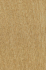 Arte Amazone 2 Pristine – 23525